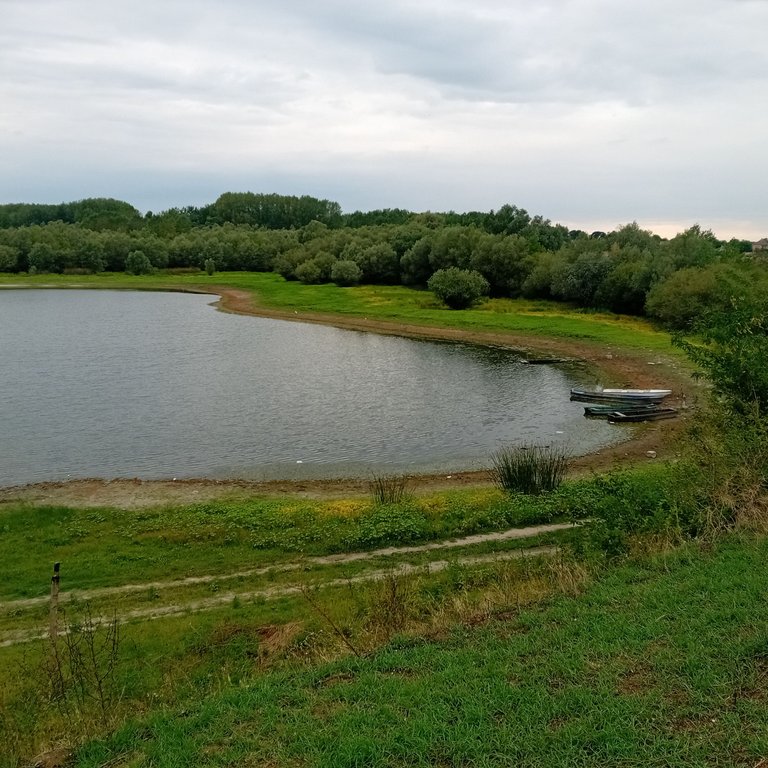 20250729_183238.jpg