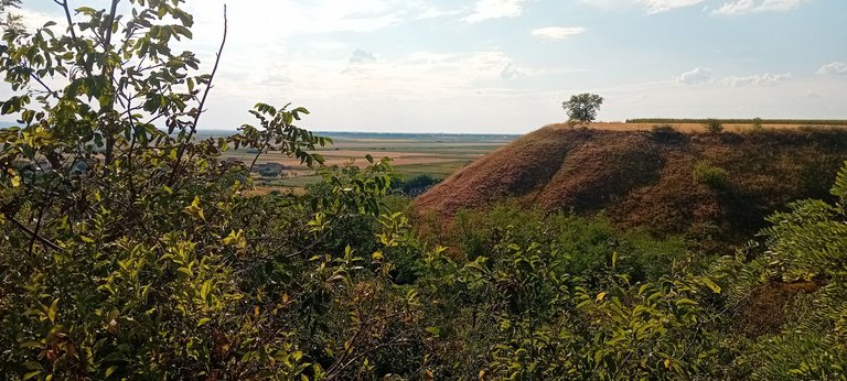 20250712_171821.jpg