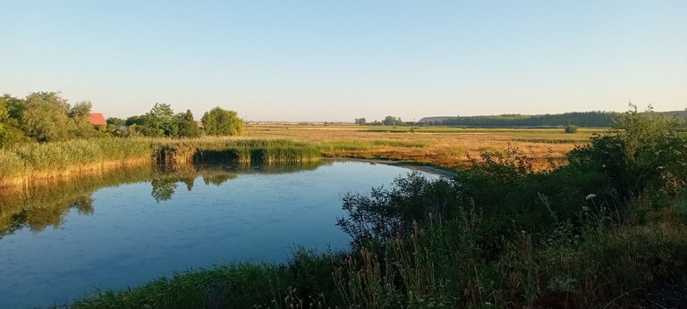 20250702_055459.jpg