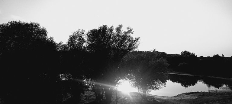 20250713_191954.jpg
