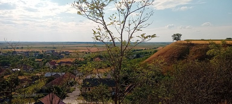 20250712_171953.jpg