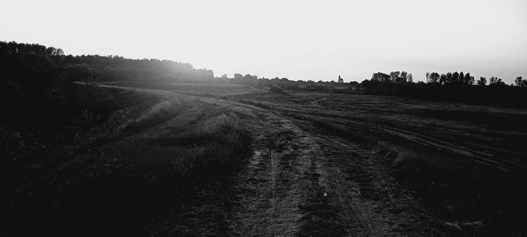 20250713_194524.jpg