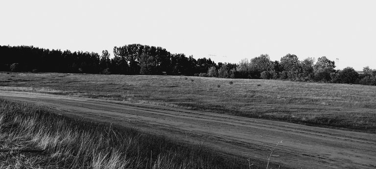 20250713_194329.jpg