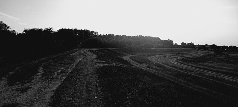 20250713_190951.jpg