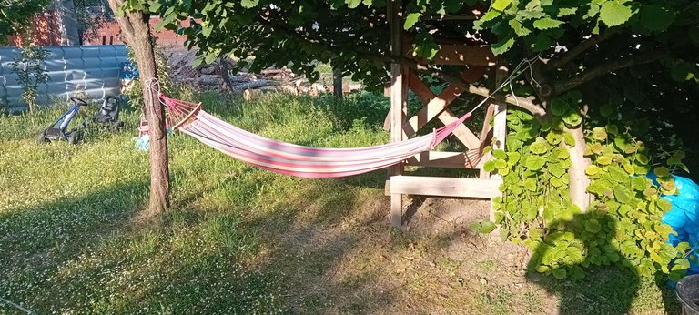20250615_182123.jpg