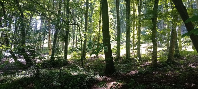 20250601_112050.jpg