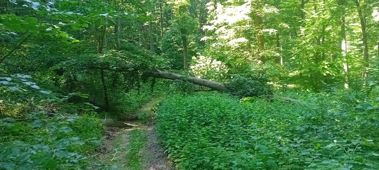 20250601_150404.jpg