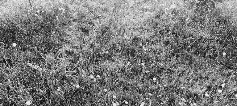 20250720_182632.jpg