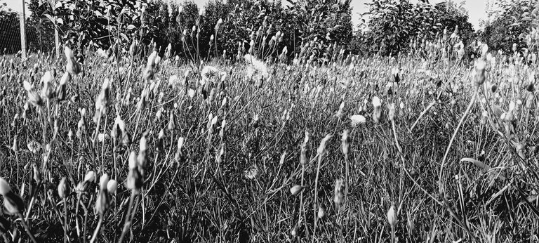 20250720_182116.jpg