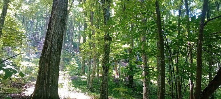 20250601_112100.jpg