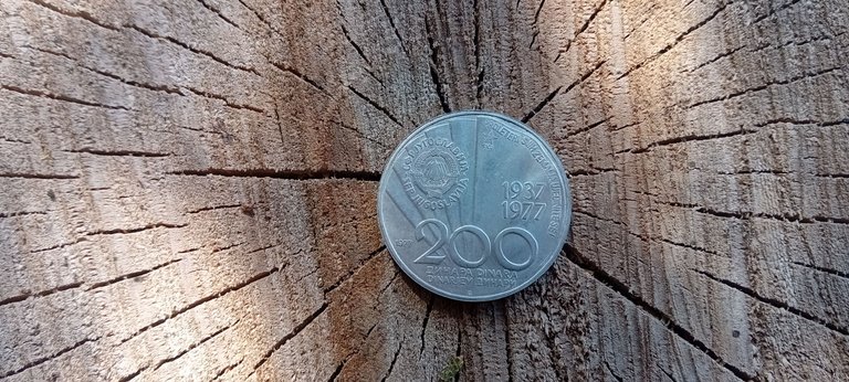 20250622_160227.jpg