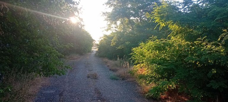 20250702_055552.jpg