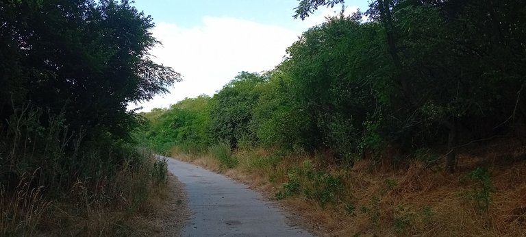 20250712_180052.jpg