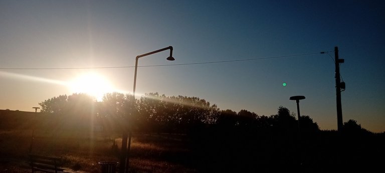 20250702_054832.jpg