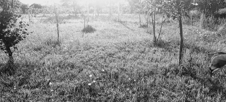 20250720_182532.jpg