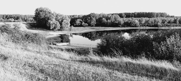 20250713_191531.jpg
