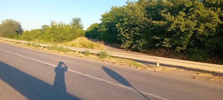 20250702_055844.jpg