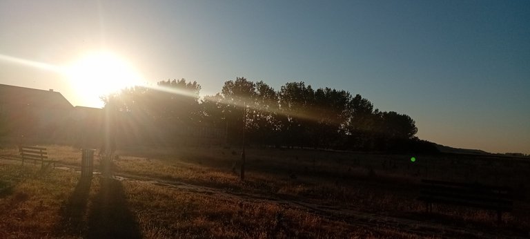 20250702_054733.jpg