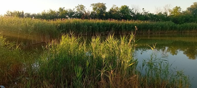 20250702_054942.jpg