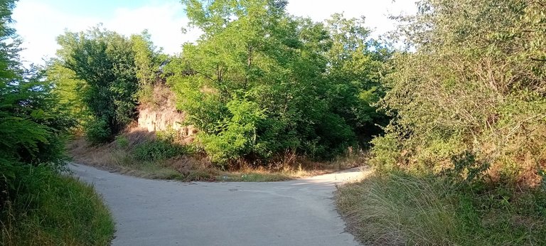 20250712_175324.jpg