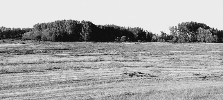 20250713_191039.jpg