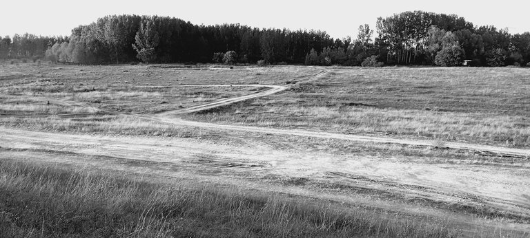20250713_194446.jpg