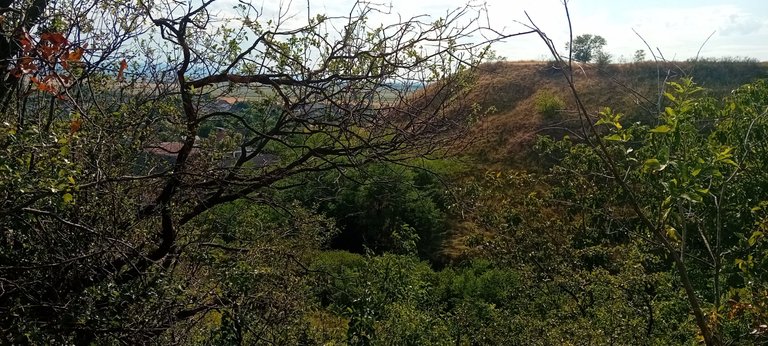 20250712_171525.jpg