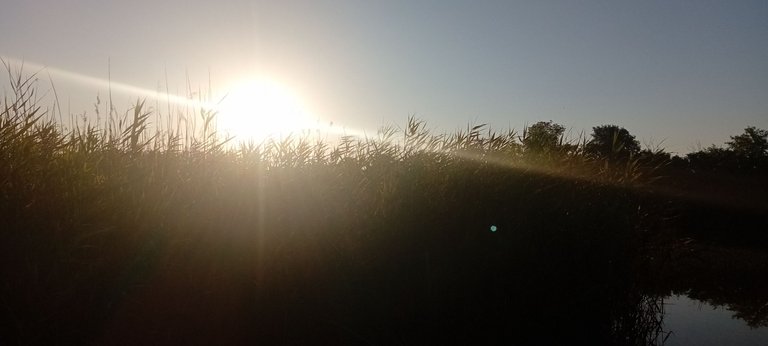 20250702_055202.jpg