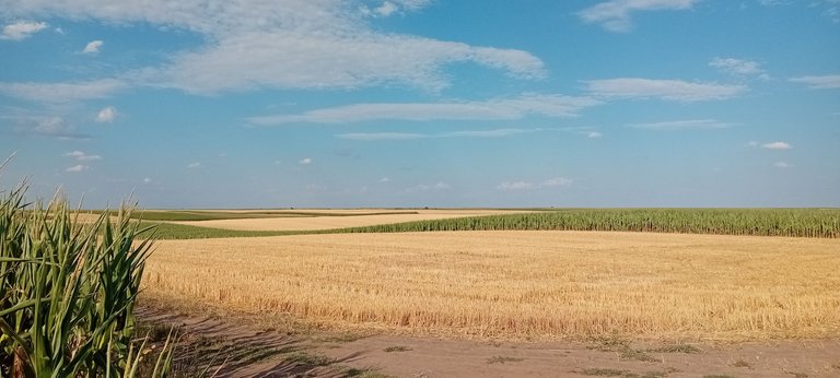 20250712_173618.jpg