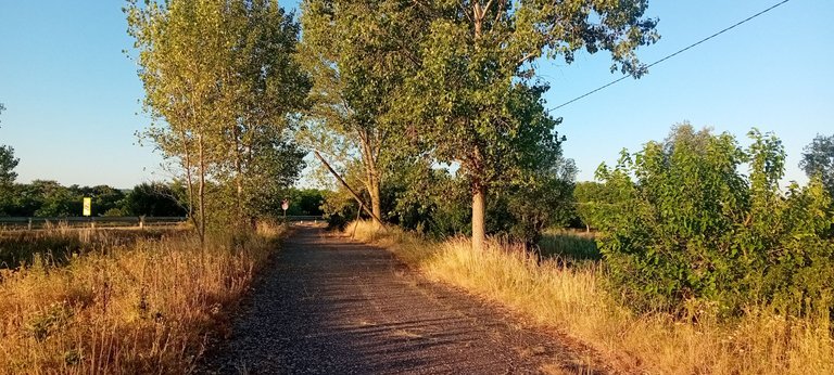 20250702_055409.jpg