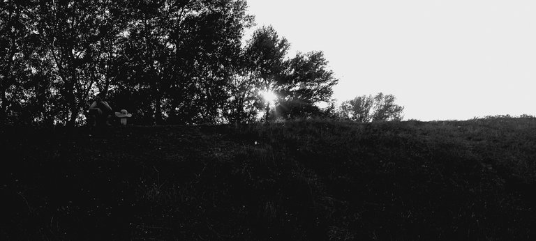 20250713_192441.jpg