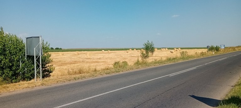 20250626_162633.jpg