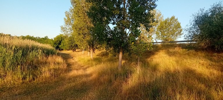 20250702_055035.jpg