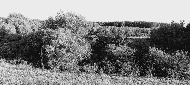 20250713_191002.jpg