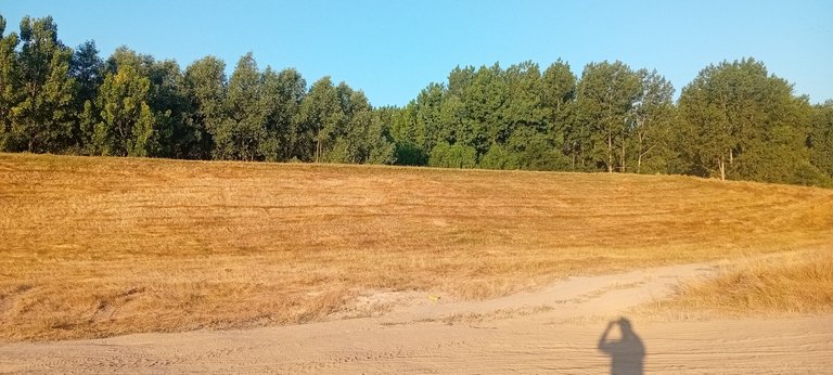 20250625_055249.jpg