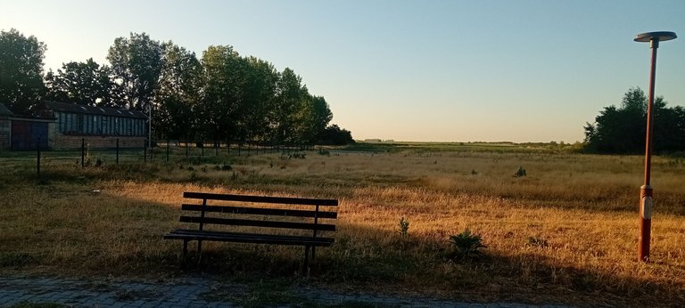 20250702_054700.jpg