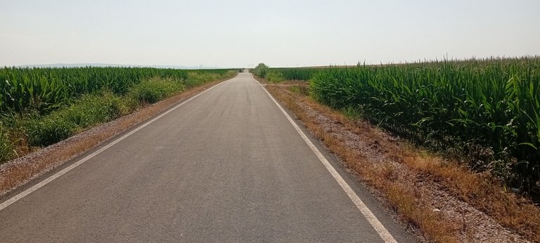 20250626_163046.jpg