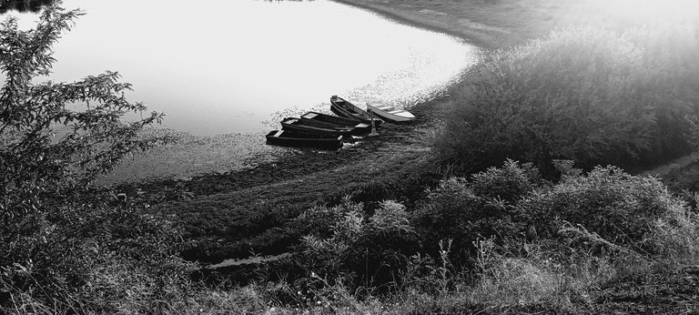20250713_194409.jpg