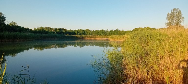 20250702_054950.jpg