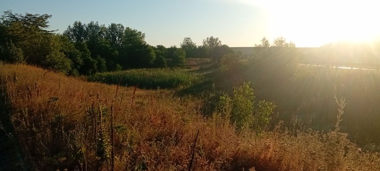 20250702_055349.jpg