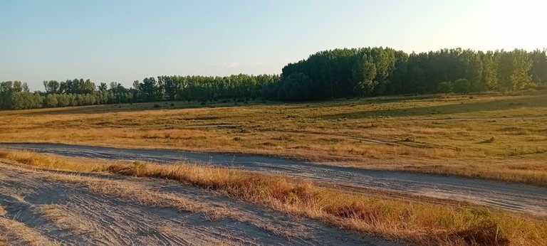 20250625_055926.jpg