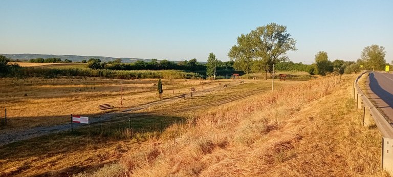 20250702_055848.jpg