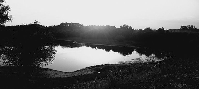 20250713_194242.jpg
