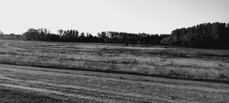 20250713_190854.jpg