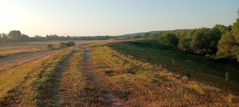 20250625_055029.jpg