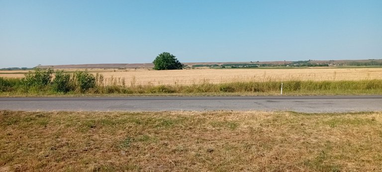 20250624_171556.jpg