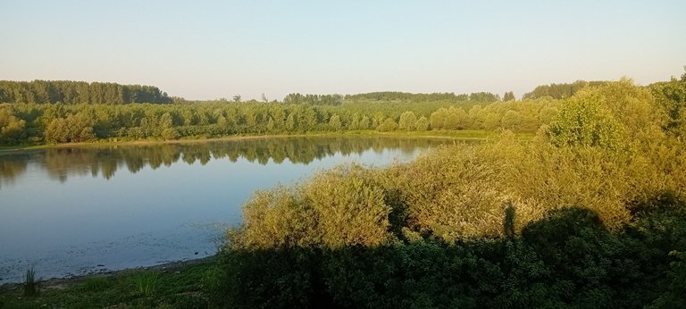 20250625_055855.jpg