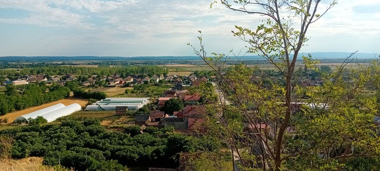 20250712_171925.jpg