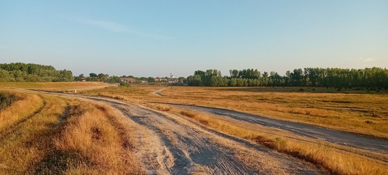 20250625_055936.jpg