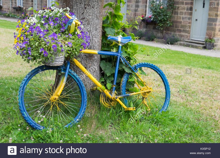 bicicleta-azul-y-amarillo-kx5p12.jpg